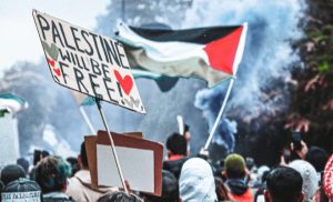 pexels-xach-hill-8343533-scaled-aspect-ratio-660-400